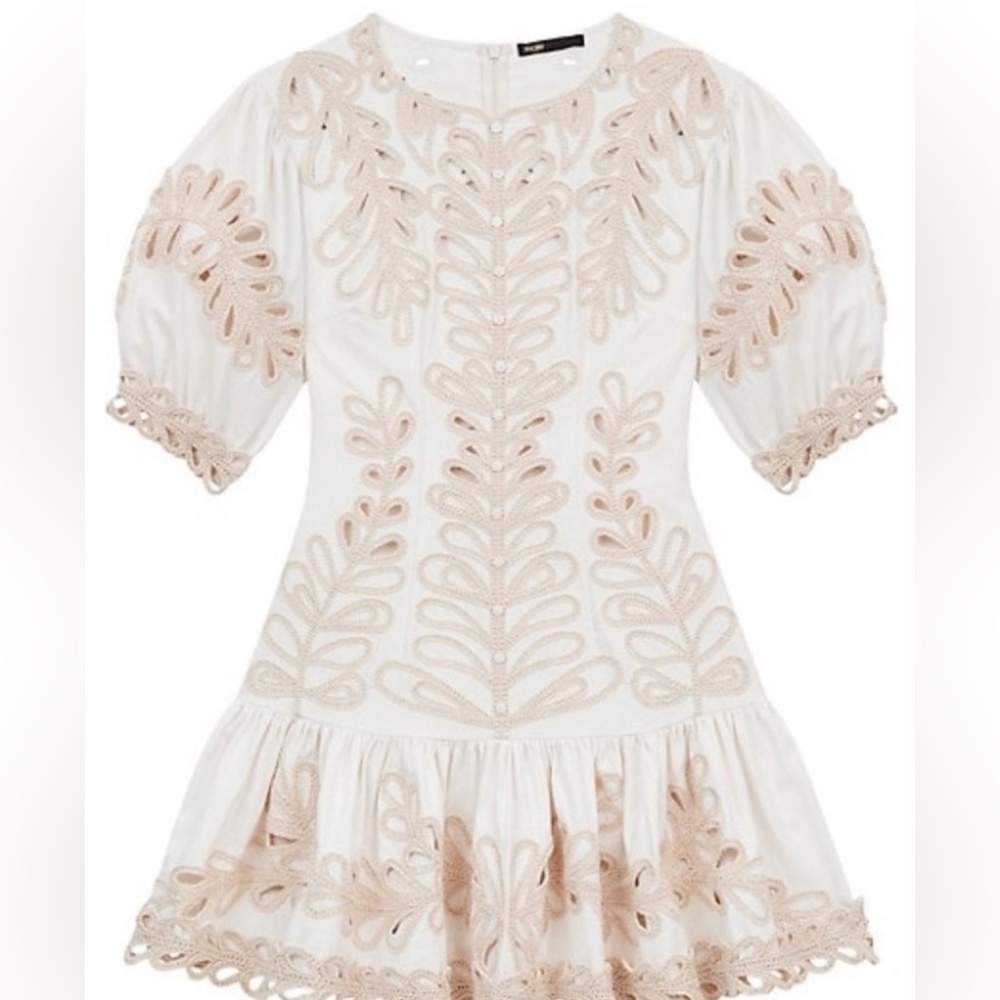 - Rosaro Embroidered Minidress